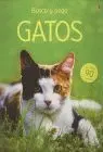 Gatos - Busca y Pega