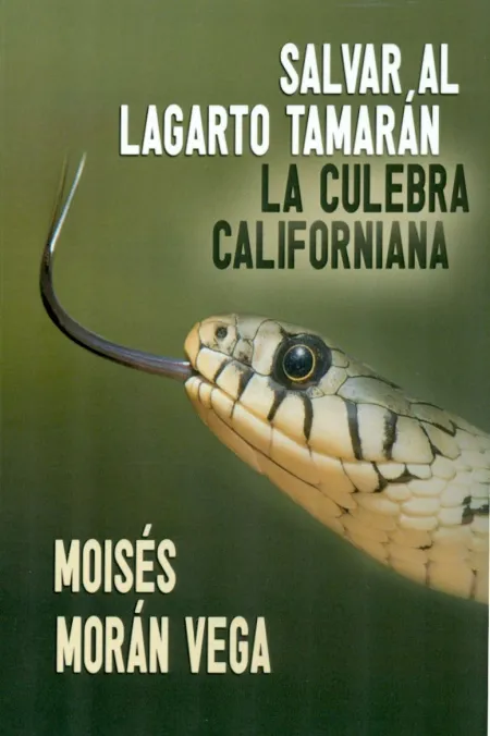 Salvar Al Lagarto Tamarán. La Culebra Californiana