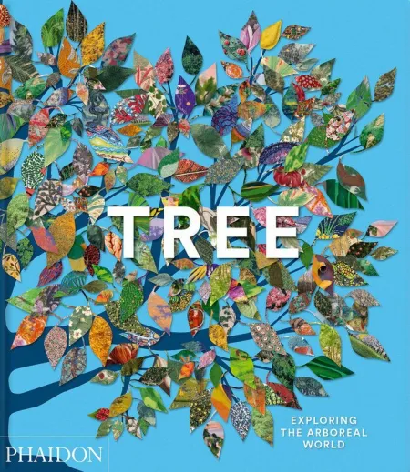 Tree. Exploring The Arboreal World
