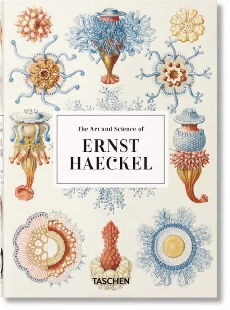 Ernst Haeckel 40 Years