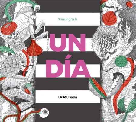 Un Dia