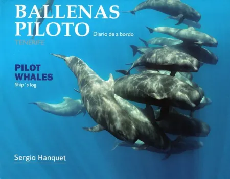 Mar Abierto. Islas Canarias - Ballenas Piloto. Tenerife