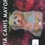 Calendario 2024 Via Canis Canino