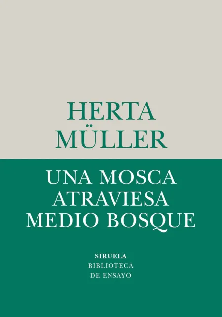 Una Mosca Atraviesa Medio Bosque