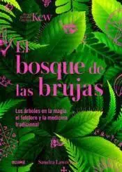 El Bosque de las Brujas