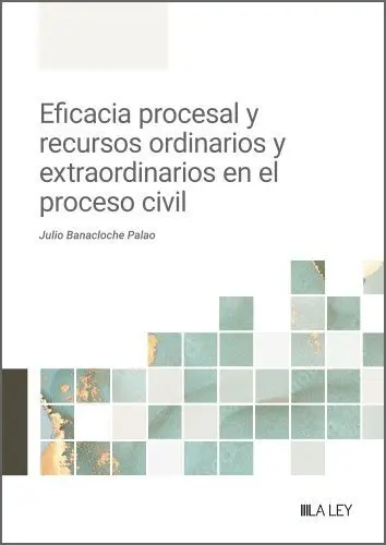 Eficacia Procesal y Recursos Ordinarios y Extraordinarios en el Proceso Civil