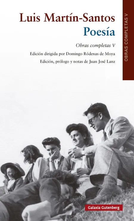 Poesía. Obras Completas V