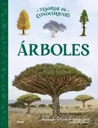 Árboles