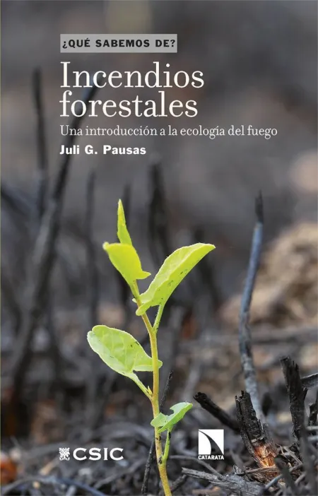 Incendios Forestales. Que Sabemos De?