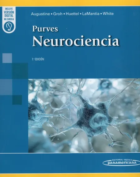 Neurociencia