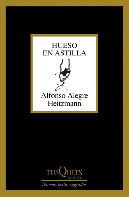 Hueso en Astilla