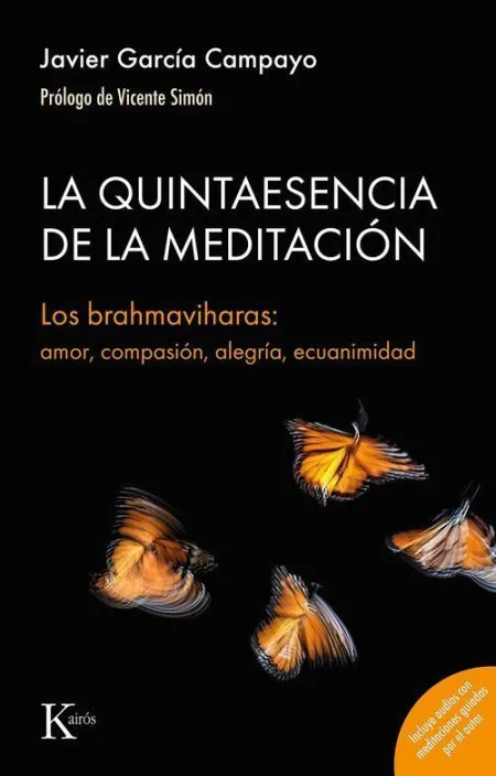 La Quintaesencia de la Meditacion
