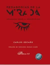 Pedagogias de la Mirada