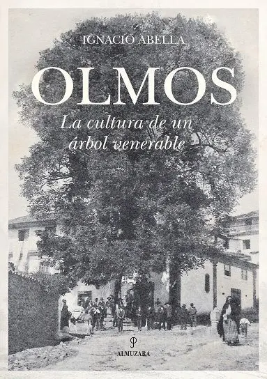 Olmos. La Cultura de un Árbol Venerable