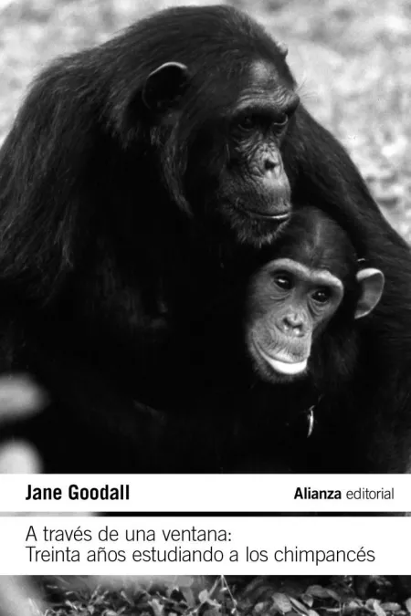 A Traves de una Ventana: Treinta Años Estudiando a los Chimpancés