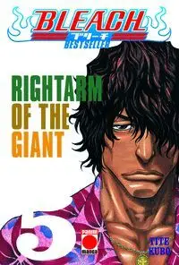 Bleach N. 5 Rightarm Of The Giant