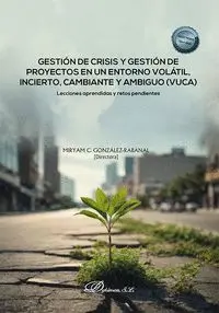 Gestion de Crisis y Gestion de Proyectos en un Entorno Volatil