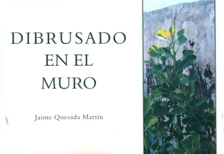 Dibrusado en el Muro