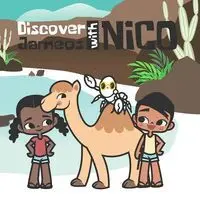 Discover Jameos With Nico