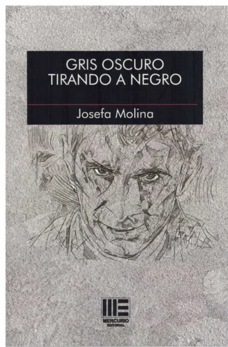 Gris Oscuro Tirando a Negro