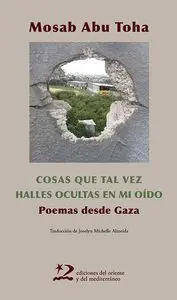 Cosas que Tal Vez Halles Ocultas en mi Oido