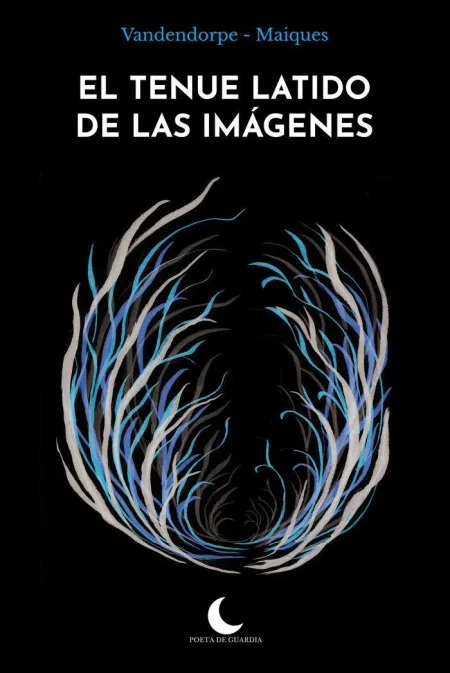 El Tenue Latido de las Imágenes