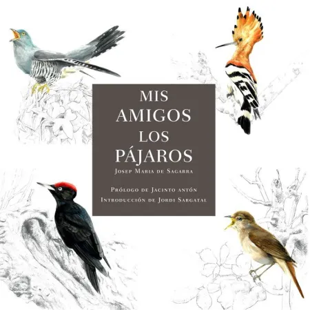 Mis Amigos los Pájaros