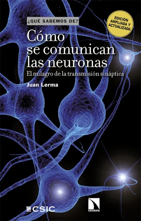 Cómo se Comunican las Neuronas