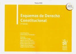 ESQUEMAS DERECHO CONSTITUCIONAL TOMO XXII