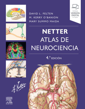 NETTER. ATLAS DE NEUROCIENCIA