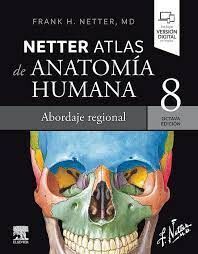 NETTER ATLAS DE ANATOMIA HUMANA. ABORDAJE REGIONAL