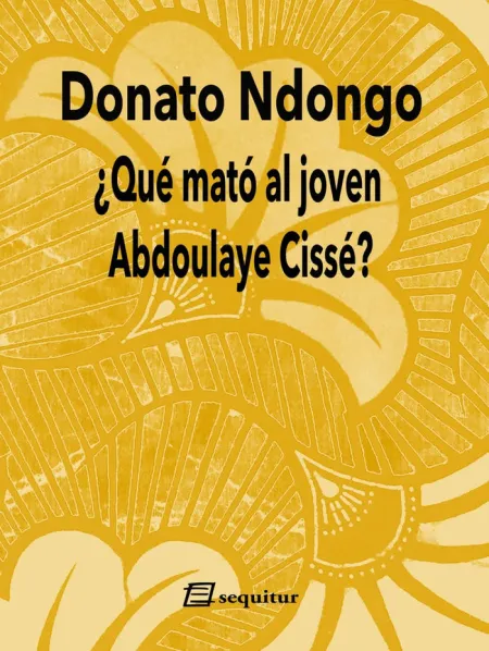 Qué Mató Al Joven Abdoulaye Cissé?