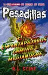 Espantapájaros Camina a Medianoche, el - Pesadillas 2