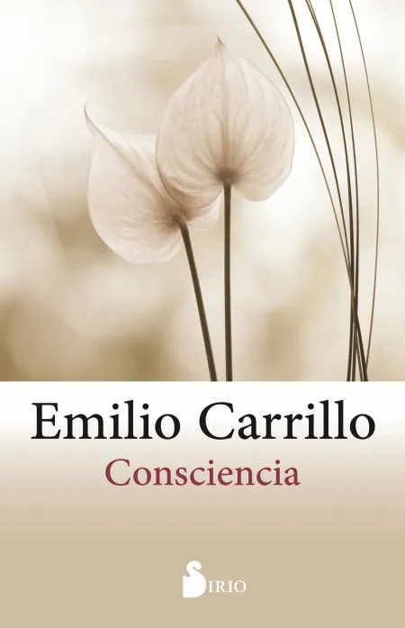 Consciencia