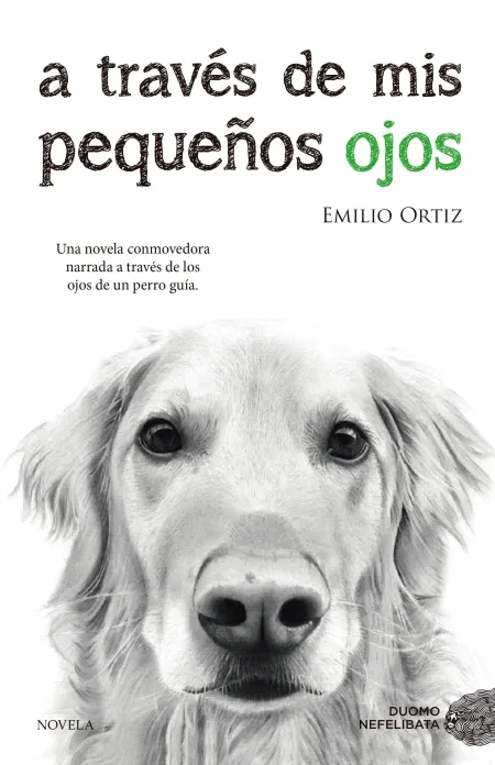 A Través de Mis Pequeños Ojos