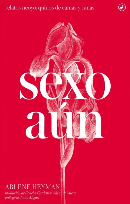 Sexo Aún