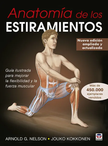 Anatomia de los Estiramientos