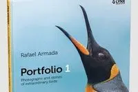 Portfolio 1 (Ingles)