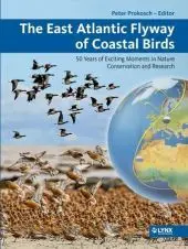 The East Atlantic Flyway Of Coastal Birds