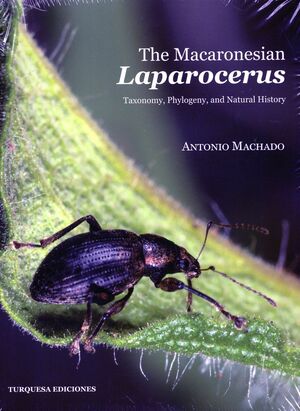 THE MACARONESIAN LAPOROCERUS.TAXONOMY, PHYLOGENY AND NATURAL HISTORY