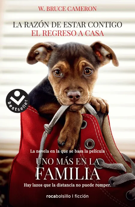 La Razón de Estar Contigo. El Regreso a Casa