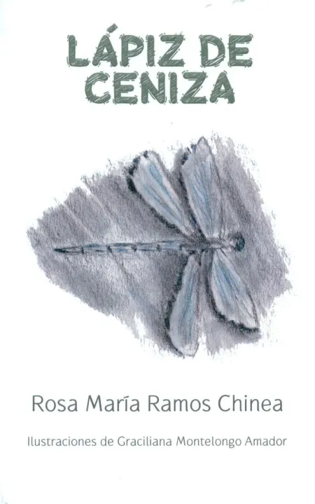 Lapiz de Ceniza