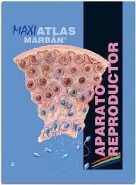 MAXI ATLAS APARATO REPRODUCTOR T.8