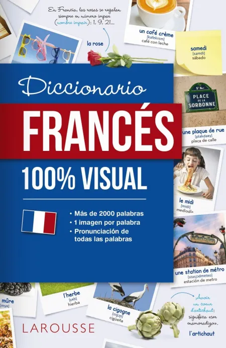 Diccionario de Francés 100 Visual