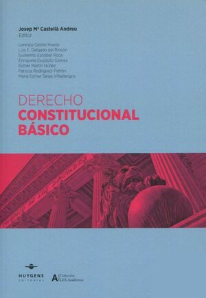 DERECHO CONSTITUCIONAL BASICO 2023