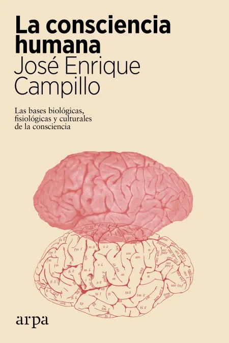 La Consciencia Humana