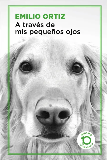 A Través de Mis Pequeños Ojos