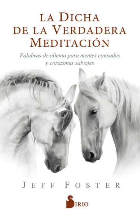 La Dicha de la Verdadera Meditación