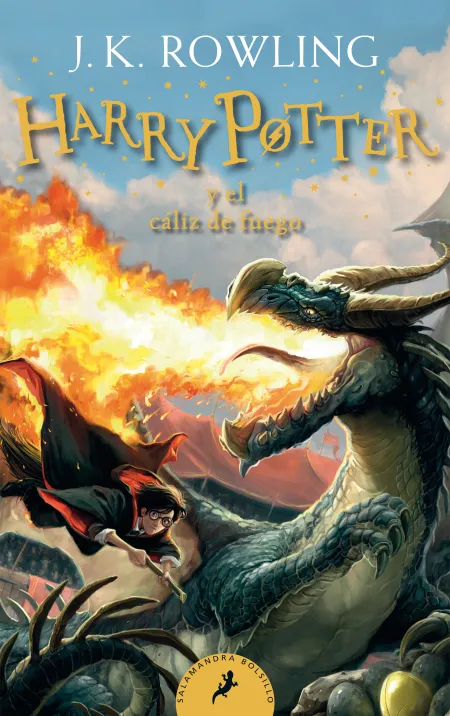 Harry Potter y el Cáliz de Fuego 4 (B)