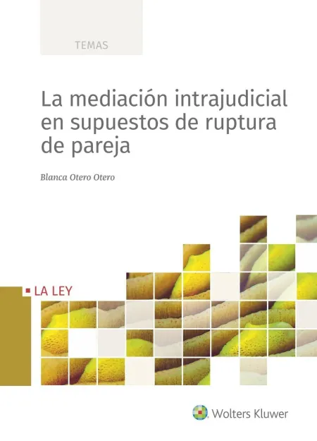 La Mediacion Intrajudicial en Supuestos de Ruptura de Pareja